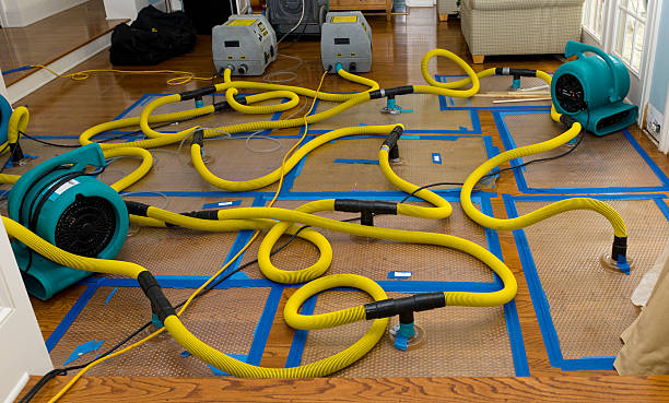 Professional Basement Flood Cleanup technician working in Lomira, WI